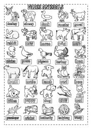 English Worksheet: FARM ANIMALS