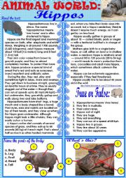 English Worksheet: Animal World: Hippos