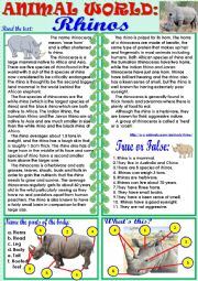 English Worksheet: Animal World: Rhinos