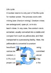 English Worksheet: life cycle