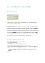 English Worksheet: Reading & Oral Exercise-News Article : Beached whale in Australia 