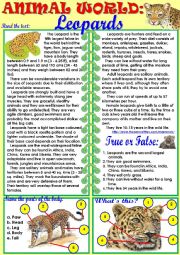 English Worksheet: Animal World: Leopards