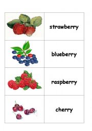 English Worksheet: Berry Flashcard