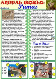 English Worksheet: Animal World: Pumas