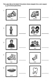 English Worksheet: Singular or Plural