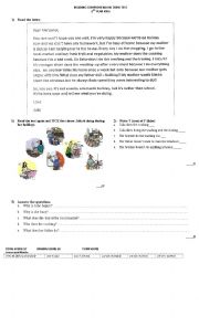 English Worksheet: Reading Comprehension Test