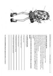 English Worksheet: Frankie Stein in Monster High - Physical description
