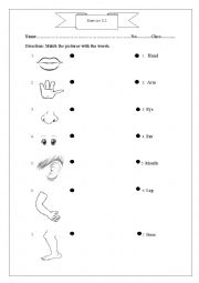 English Worksheet: Part of body