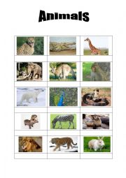 English Worksheet: Animals