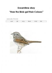 English Worksheet: How Birds Got Their Colours