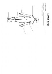 English Worksheet: BODY QUIZ