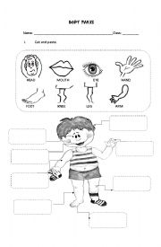 English Worksheet: BODY PARTS