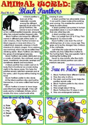 English Worksheet: Animal World: Black Panthers