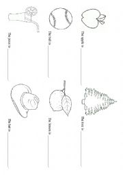 English Worksheet: The apple is...