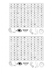 English Worksheet: Body Parts