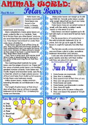 English Worksheet: Animal World: Polar Bears