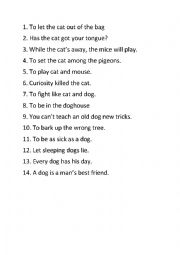 Animal idioms - dogs and cats