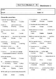 English Worksheet: Grammar Test