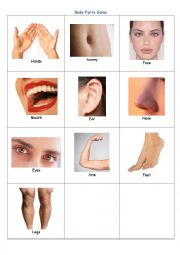 English Worksheet: Body parts game
