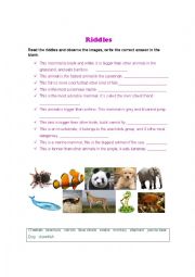 English Worksheet: Riddles about animals