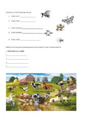 English Worksheet: demonstrative question animals and insects