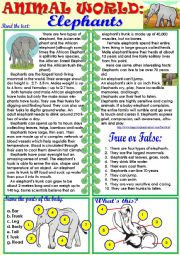 English Worksheet: Animal World: Elephants