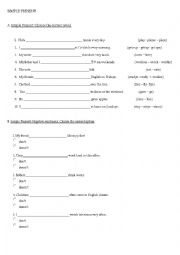 English Worksheet: SIMPLE PRESENT