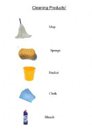 English Worksheet: Cleaning products