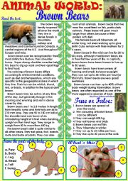 English Worksheet: Animal World: Brown Bears