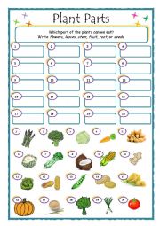 English Worksheet: Plant Parts _ What do we eat?