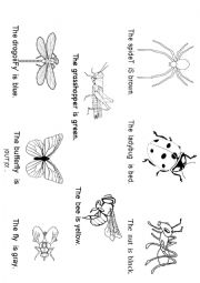 English Worksheet: Bugs