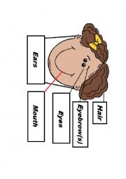 English Worksheet: Parts of the Face