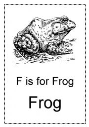 English Worksheet: F is for Frog