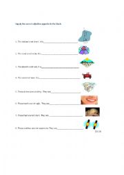 English Worksheet: Adjective opposites with demonstrative adjectives