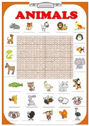 English Worksheet: FINDING ANIMALS / KEY INCLUDED