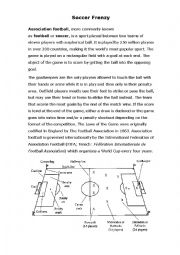 English Worksheet: Soccer Frenzy