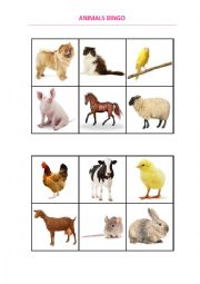 English Worksheet: Animals bingo