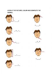 English Worksheet: PARTS OF THE FACE