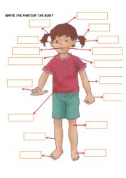 English Worksheet: parts of the body