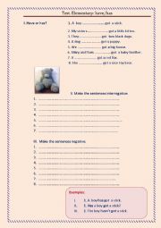 English Worksheet: Have, has