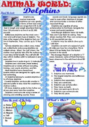 English Worksheet: Animal World: Dolphins