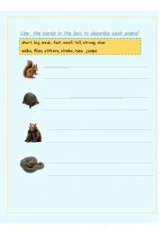 Animals of the forest worksheet