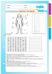 English Worksheet: body parts