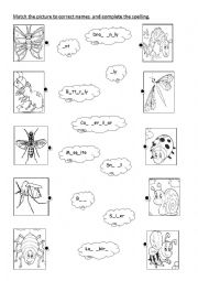 English Worksheet: insects