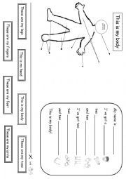 English Worksheet: THIS IS MY BODY