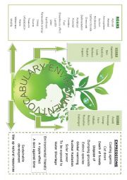English Worksheet: Environment vocabulary