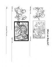English Worksheet: What can they do?