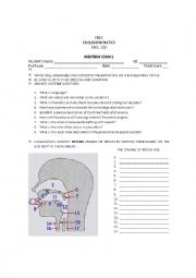 Phonetic Test