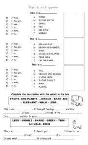 English Worksheet: Animal description