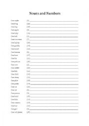 Plural Nouns & Numbers